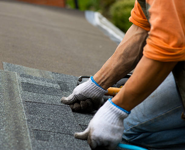 Best Roof Repair Services  in Alum Rock, CA